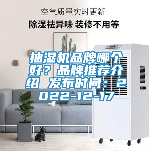 抽濕機(jī)品牌哪個(gè)好？品牌推薦介紹 發(fā)布時(shí)間：2022-12-17