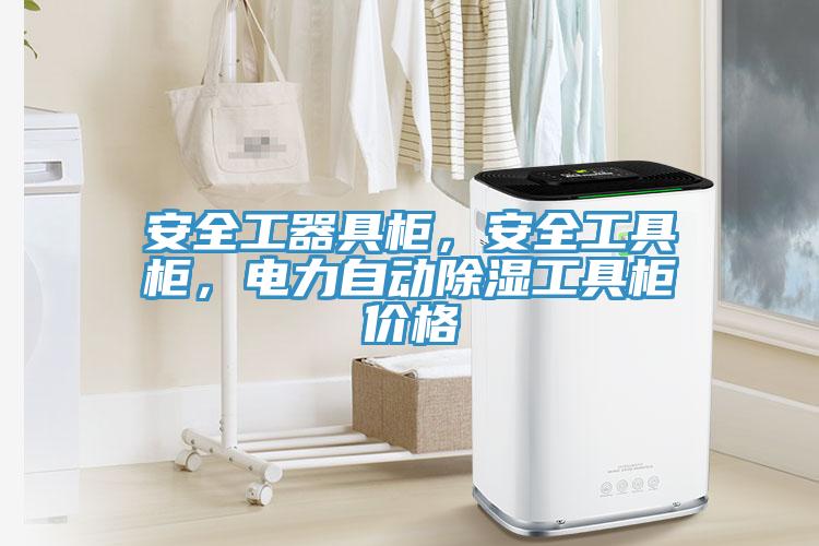 安全工器具柜，安全工具柜，電力自動除濕工具柜價格