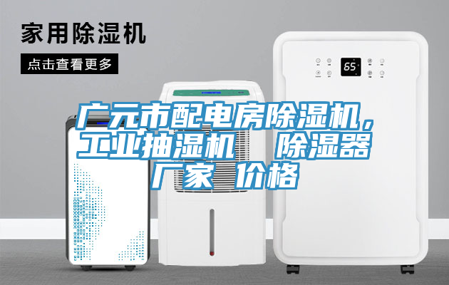 廣元市配電房除濕機(jī)，工業(yè)抽濕機(jī)  除濕器廠家 價(jià)格