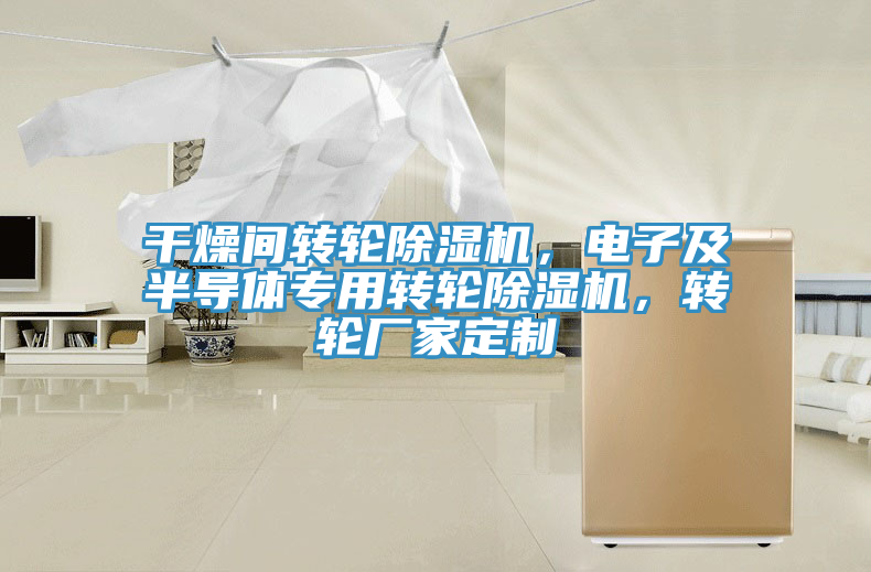 干燥間轉(zhuǎn)輪除濕機(jī)，電子及半導(dǎo)體專用轉(zhuǎn)輪除濕機(jī)，轉(zhuǎn)輪廠家定制