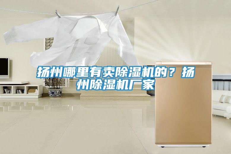 揚(yáng)州哪里有賣除濕機(jī)的？揚(yáng)州除濕機(jī)廠家