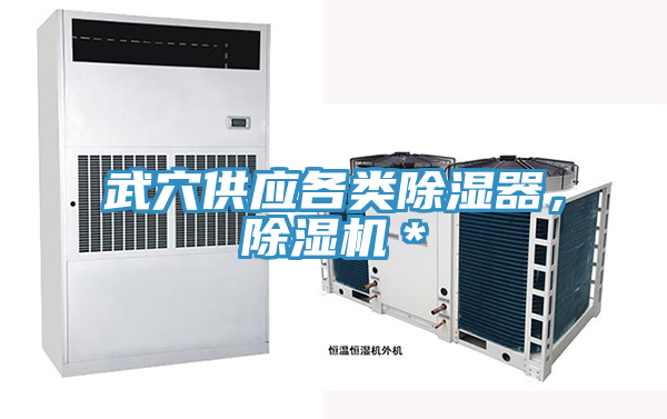 武穴供應各類除濕器，除濕機＊