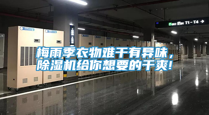 梅雨季衣物難干有異味，除濕機給你想要的干爽!