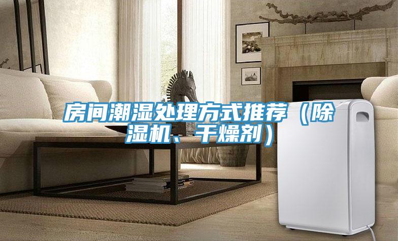 房間潮濕處理方式推薦（除濕機(jī)、干燥劑）