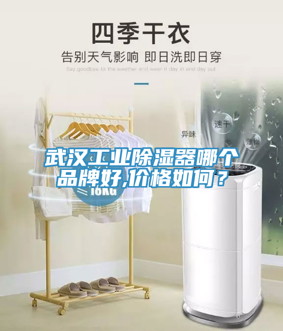 武漢工業(yè)除濕器哪個(gè)品牌好,價(jià)格如何？