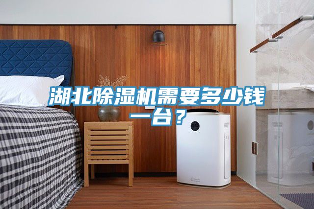 湖北除濕機需要多少錢一臺？