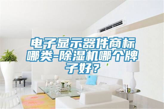 電子顯示器件商標(biāo)哪類-除濕機(jī)哪個牌子好？