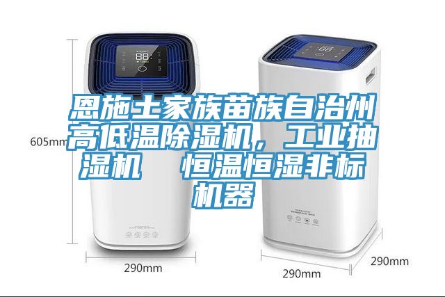 恩施土家族苗族自治州高低溫除濕機，工業(yè)抽濕機  恒溫恒濕非標(biāo)機器