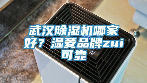 武漢除濕機(jī)哪家好？濕菱品牌zui可靠