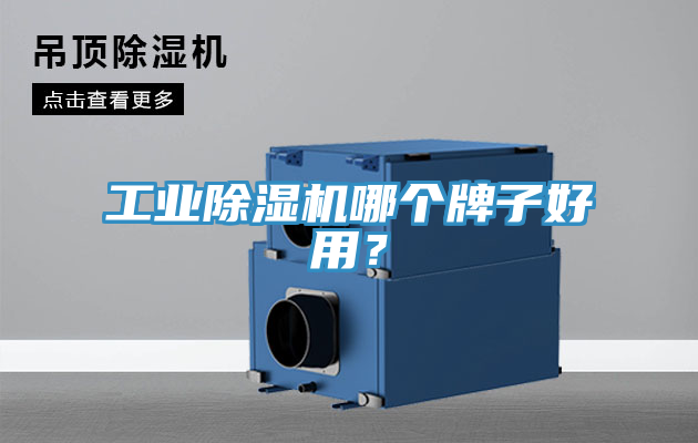 工業(yè)除濕機哪個牌子好用？