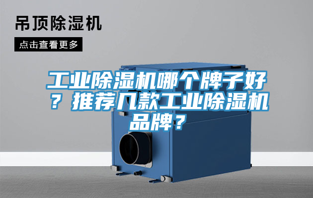 工業(yè)除濕機(jī)哪個(gè)牌子好？推薦幾款工業(yè)除濕機(jī)品牌？