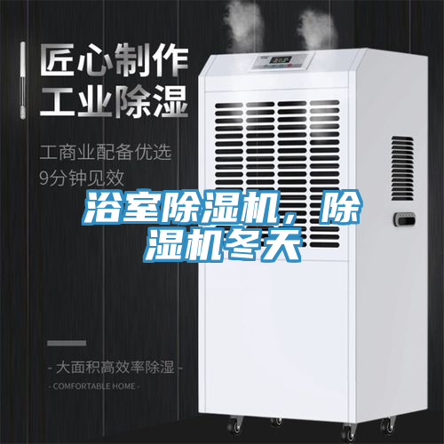浴室除濕機(jī)，除濕機(jī)冬天