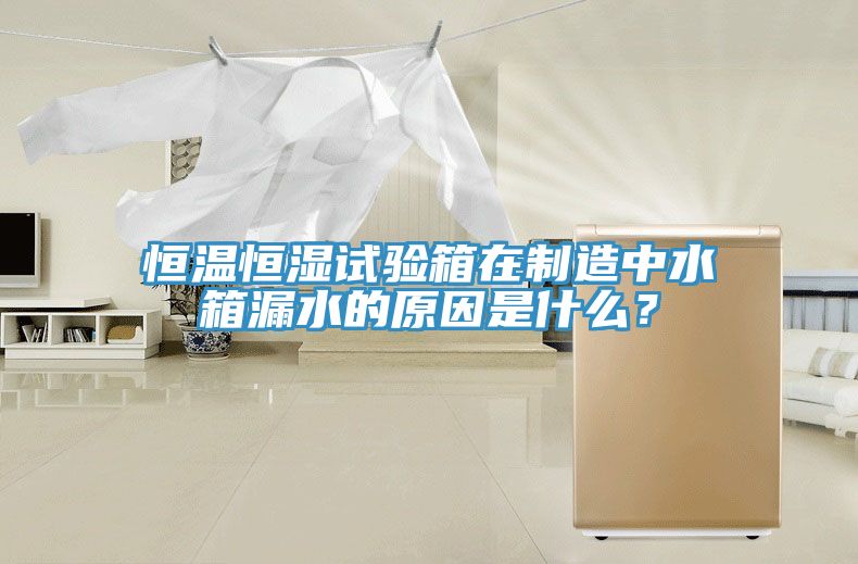 恒溫恒濕試驗(yàn)箱在制造中水箱漏水的原因是什么？