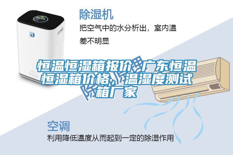 恒溫恒濕箱報(bào)價(jià) 廣東恒溫恒濕箱價(jià)格，溫濕度測試箱廠家