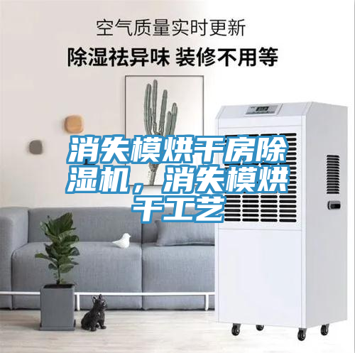 消失模烘干房除濕機(jī)，消失模烘干工藝