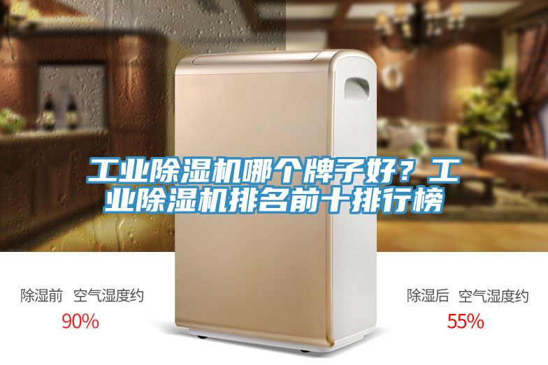 工業(yè)除濕機(jī)哪個(gè)牌子好？工業(yè)除濕機(jī)排名前十排行榜