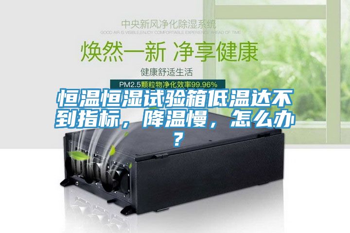 恒溫恒濕試驗箱低溫達不到指標(biāo)，降溫慢，怎么辦？