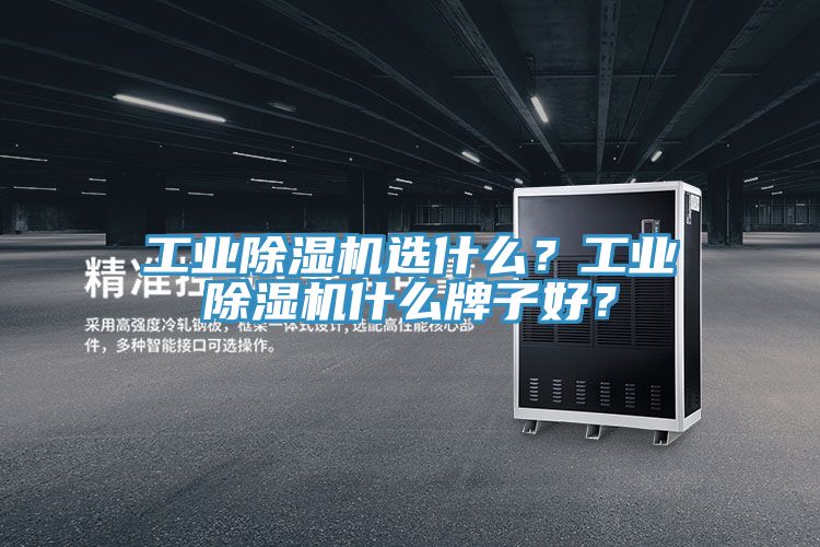 工業(yè)除濕機(jī)選什么？工業(yè)除濕機(jī)什么牌子好？