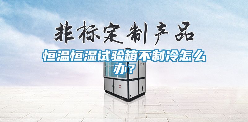 恒溫恒濕試驗(yàn)箱不制冷怎么辦？