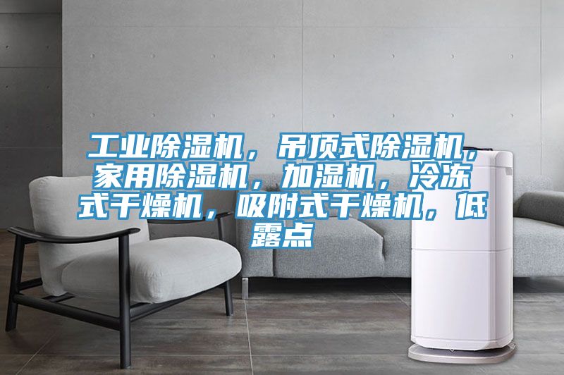 工業(yè)除濕機(jī)，吊頂式除濕機(jī)，家用除濕機(jī)，加濕機(jī)，冷凍式干燥機(jī)，吸附式干燥機(jī)，低露點(diǎn)
