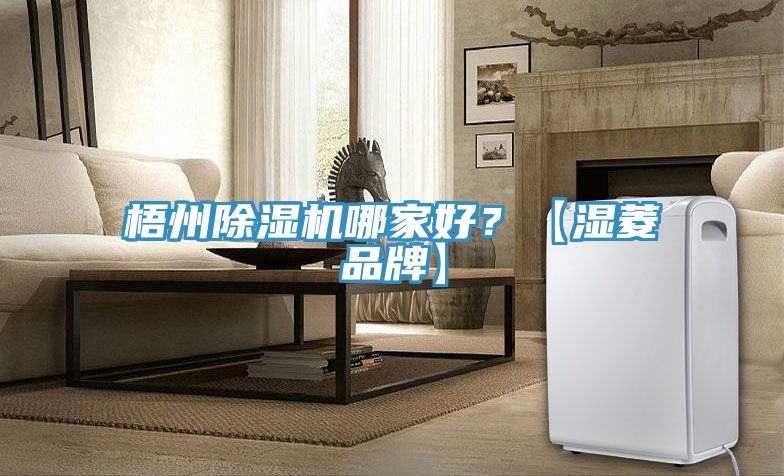 梧州除濕機(jī)哪家好？【濕菱品牌】