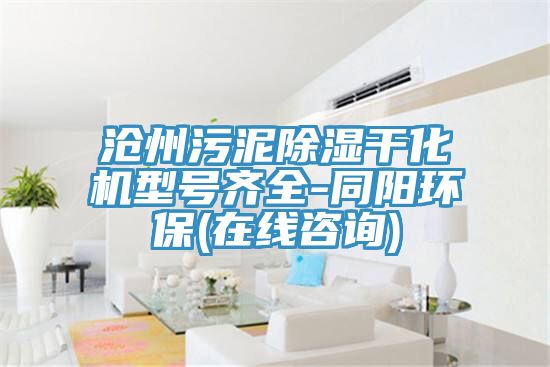 滄州污泥除濕干化機(jī)型號(hào)齊全-同陽環(huán)保(在線咨詢)