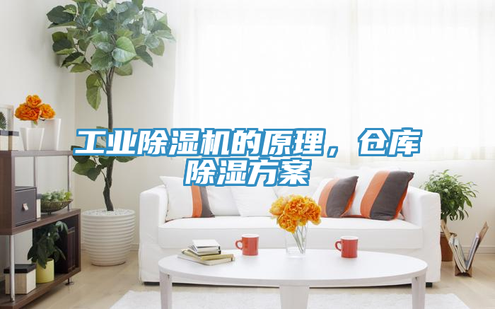 工業(yè)除濕機的原理，倉庫除濕方案