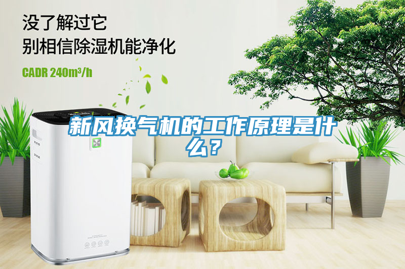 新風(fēng)換氣機的工作原理是什么？