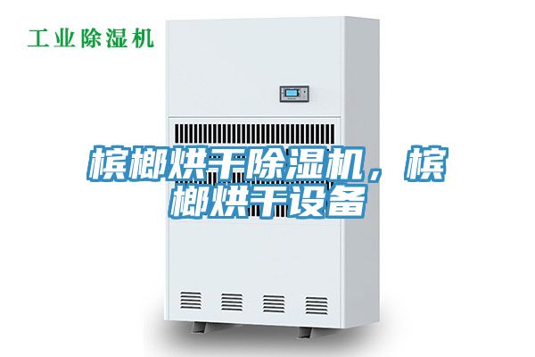 檳榔烘干除濕機(jī)，檳榔烘干設(shè)備