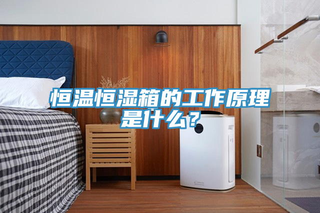 恒溫恒濕箱的工作原理是什么？