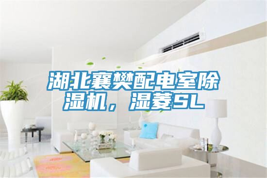 湖北襄樊配電室除濕機，濕菱SL