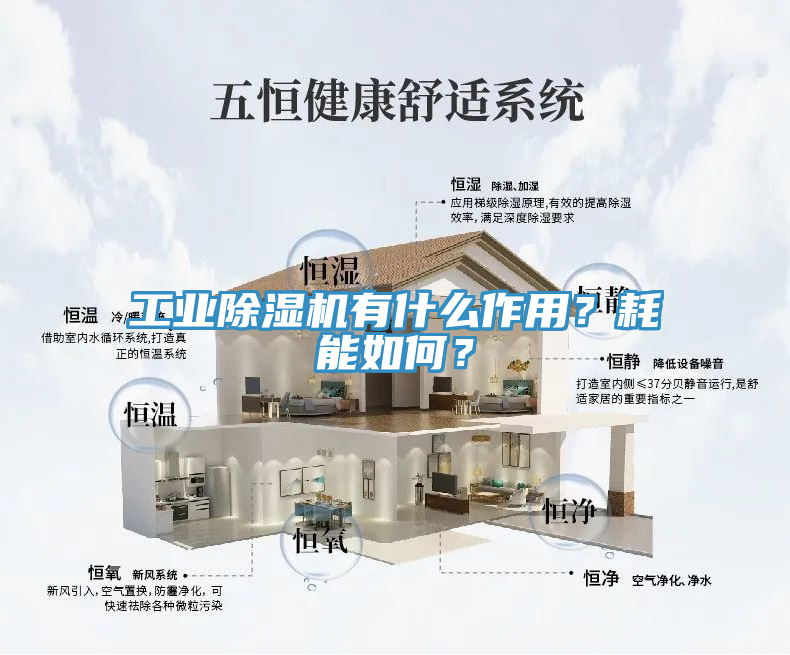 工業(yè)除濕機(jī)有什么作用？耗能如何？