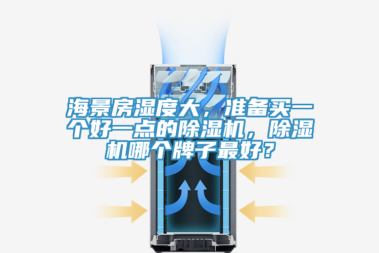 海景房濕度大，準(zhǔn)備買一個(gè)好一點(diǎn)的除濕機(jī)，除濕機(jī)哪個(gè)牌子最好？