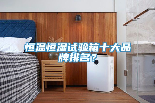 恒溫恒濕試驗(yàn)箱十大品牌排名？