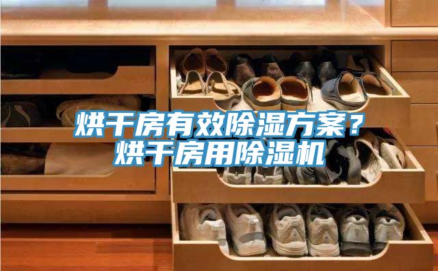 烘干房有效除濕方案？烘干房用除濕機(jī)