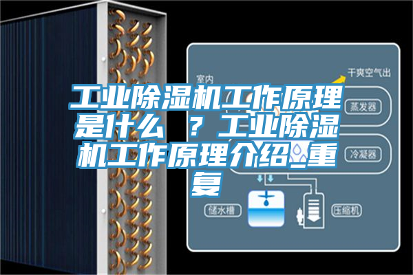 工業(yè)除濕機(jī)工作原理是什么 ？工業(yè)除濕機(jī)工作原理介紹_重復(fù)