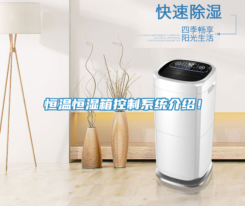 恒溫恒濕箱控制系統(tǒng)介紹！
