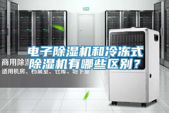 電子除濕機(jī)和冷凍式除濕機(jī)有哪些區(qū)別？