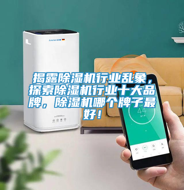揭露除濕機(jī)行業(yè)亂象，探索除濕機(jī)行業(yè)十大品牌，除濕機(jī)哪個(gè)牌子最好！