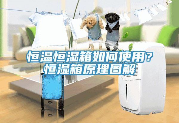 恒溫恒濕箱如何使用？恒濕箱原理圖解