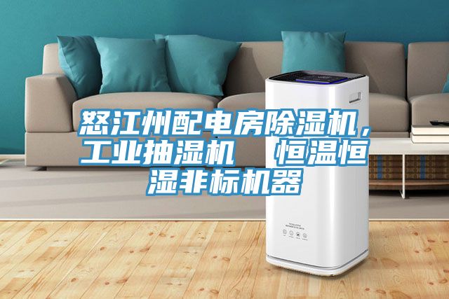 怒江州配電房除濕機(jī)，工業(yè)抽濕機(jī)  恒溫恒濕非標(biāo)機(jī)器