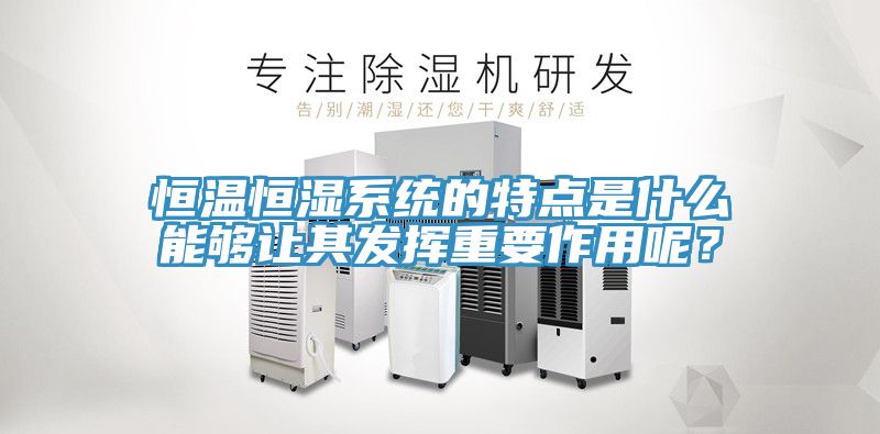 恒溫恒濕系統(tǒng)的特點是什么能夠讓其發(fā)揮重要作用呢？