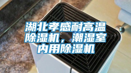 湖北孝感耐高溫除濕機，潮濕室內(nèi)用除濕機