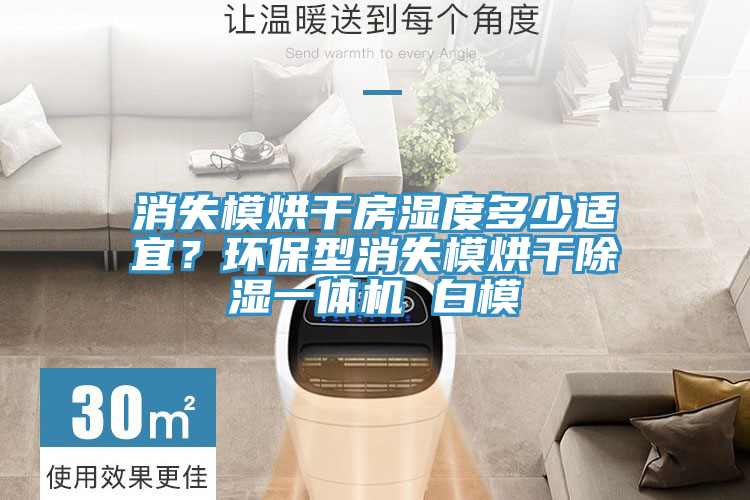 消失模烘干房濕度多少適宜？環(huán)保型消失模烘干除濕一體機(jī) 白模