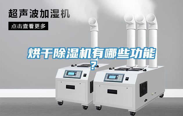 烘干除濕機有哪些功能？
