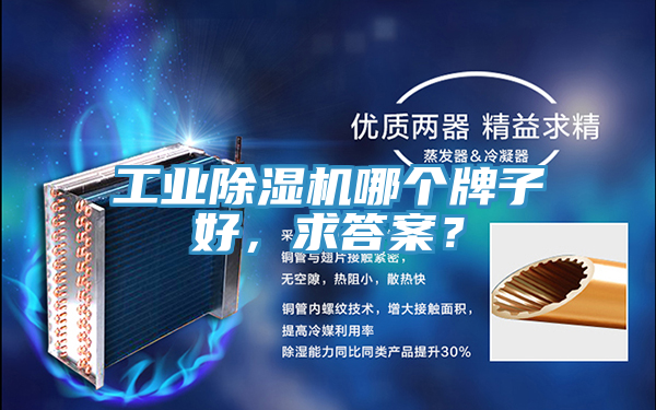 工業(yè)除濕機哪個牌子好，求答案？