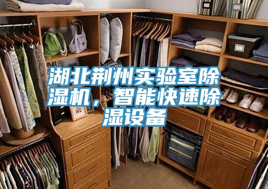 湖北荊州實驗室除濕機，智能快速除濕設(shè)備