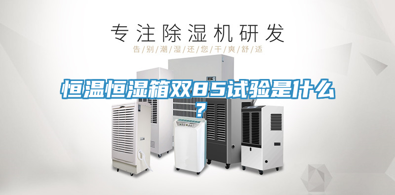 恒溫恒濕箱雙85試驗(yàn)是什么？
