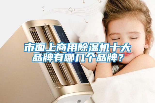 市面上商用除濕機十大品牌有哪幾個品牌？