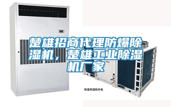 楚雄招商代理防爆除濕機(jī)，楚雄工業(yè)除濕機(jī)廠家